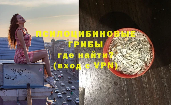 дурь Арсеньев