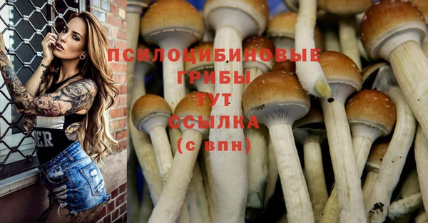 дурь Арсеньев