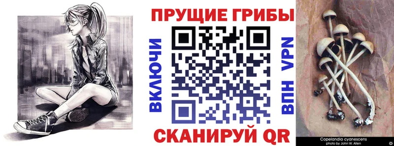 Галлюциногенные грибы Psilocybine cubensis площадка телеграм Константиновск